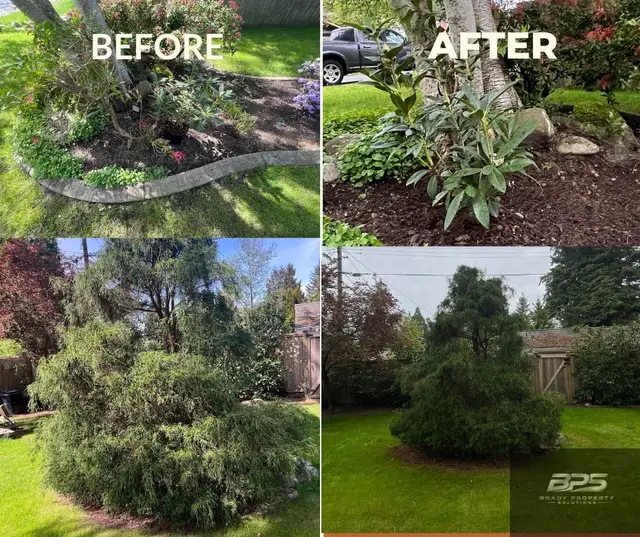 Professional landscaping & yard clean up