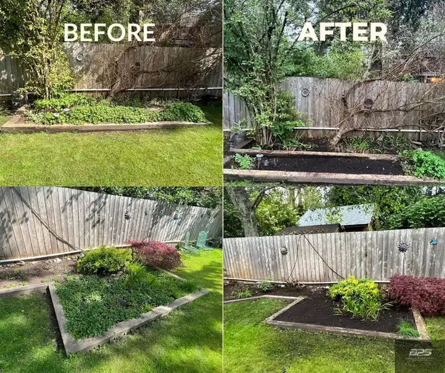 Professional landscaping & yard clean up - Photo 2