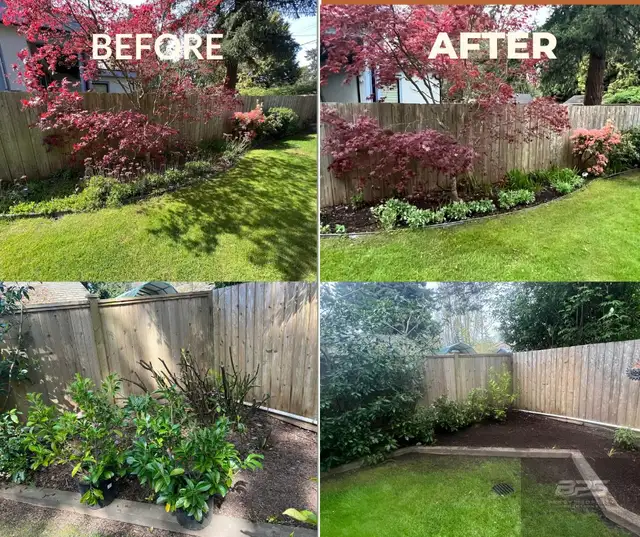 Professional landscaping & yard clean up - Photo 3