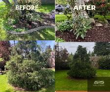 landscaping & yard clean up