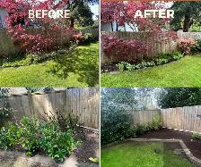 landscaping & yard clean up - Photo 3