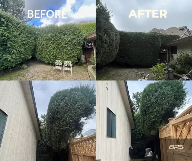 landscaping & yard clean up - Photo 5