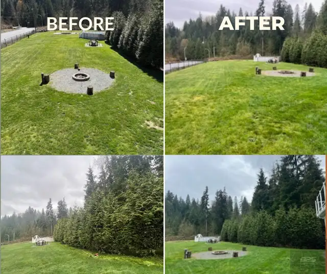 landscaping & yard clean up - Photo 6