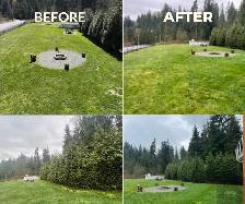 landscaping & yard clean up - Photo 6