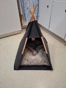 KIPI POUR CHAT NEUF