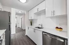 Halifax Apartments – The Plaza - 1 Bedroom available at 1881 Bru - Photo 11