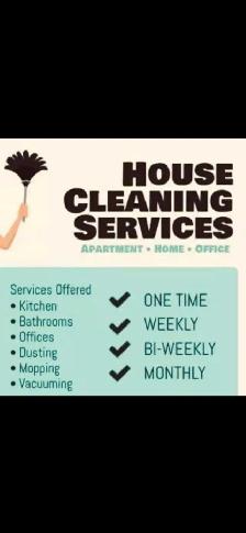 professional cleaning services