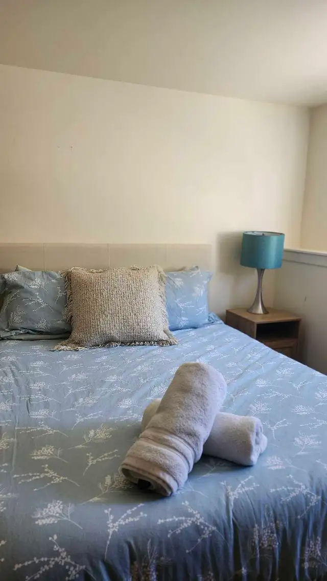 professional cleaning services - Photo 6