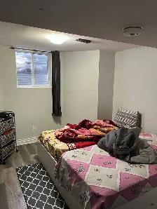 2 Bedrm Basement Dixie /Inspire /Countryside  Brampton for Rent - Photo 7