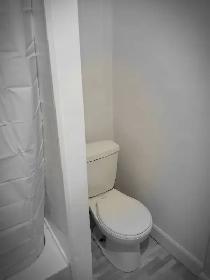 Homme à tout faire pour tout genre de renovation et travaux - Photo 9