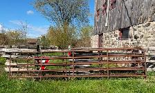 Several Steel Farm Gates Available