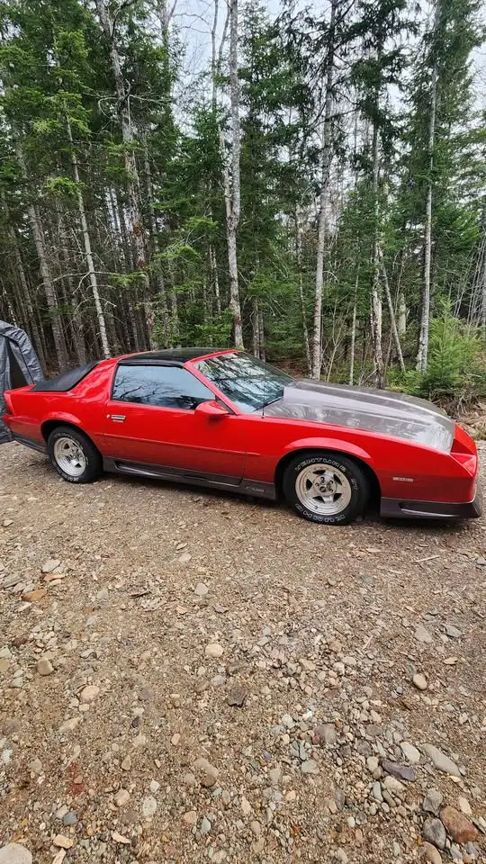 1988 Chev Camaro - Photo 2