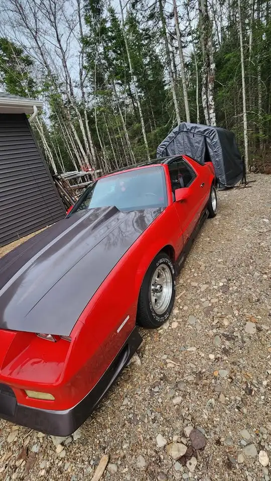 1988 Chev Camaro - Photo 3