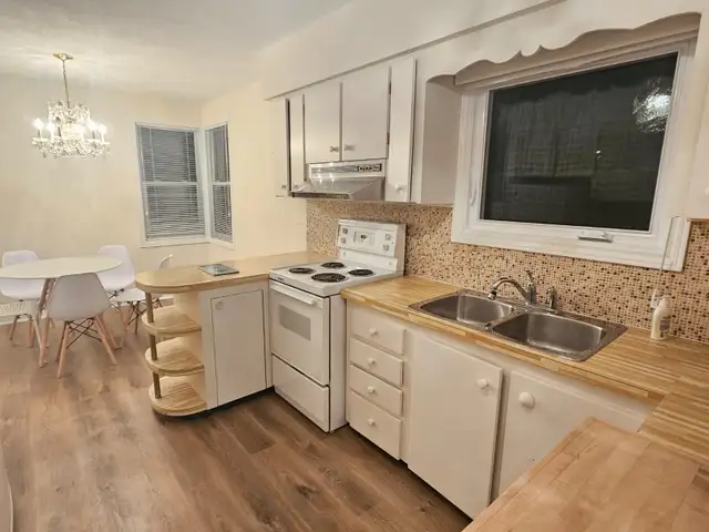 Large Furnished Bedroom (All Female Residence) - Photo 4