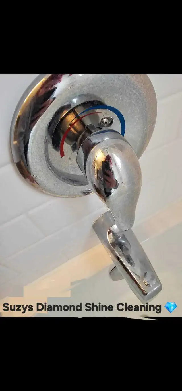 Suzys Diamond Shine Cleaning - Photo 8