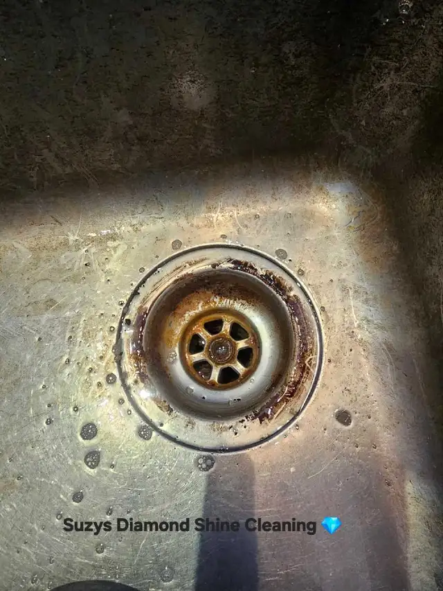 Suzys Diamond Shine Cleaning - Photo 10