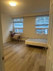 room for rent at bayview and eglinton - Photo 6
