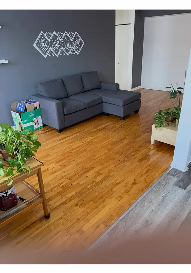 Apparemment 3 1/2 et 2 1/2 à Ahuntsic - Photo 5