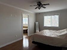 46 Payette St, Gander - Photo 5