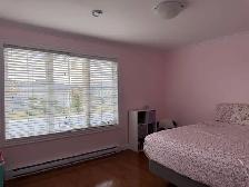 46 Payette St, Gander - Photo 6