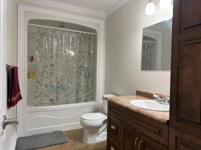 46 Payette St, Gander - Photo 10