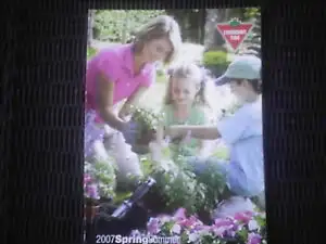 Last Canadian Tire Catalog