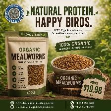Mealworms Dried Organic and Gmo free-protein