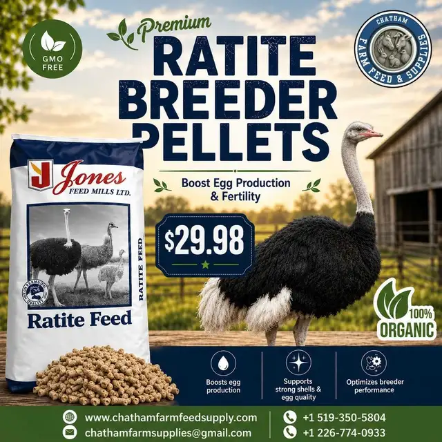 Ratite Feed Pellets organic gmo free Jones Nutrition