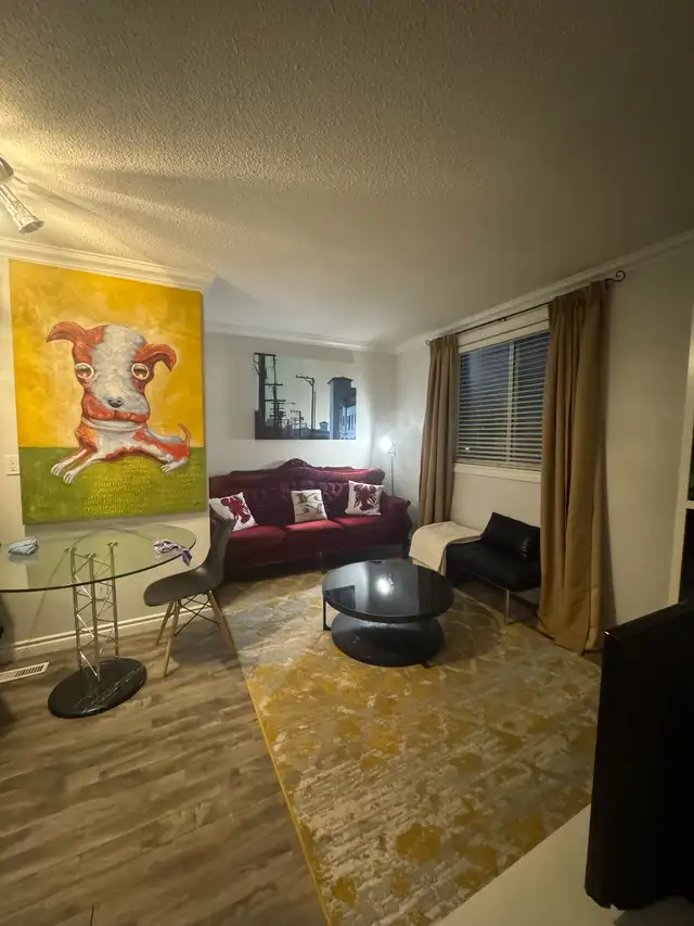 CLASSY, CHIC, FULLY-FURNISHED, ONE-BEDROOM FLAT IN CENTRAL YEG - Photo 4