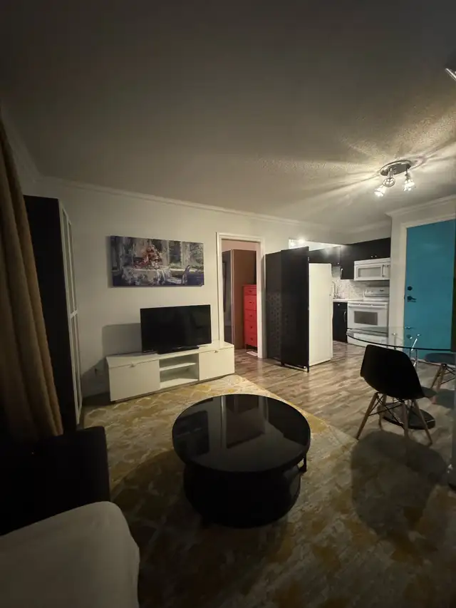 CLASSY, CHIC, FULLY-FURNISHED, ONE-BEDROOM FLAT IN CENTRAL YEG - Photo 5