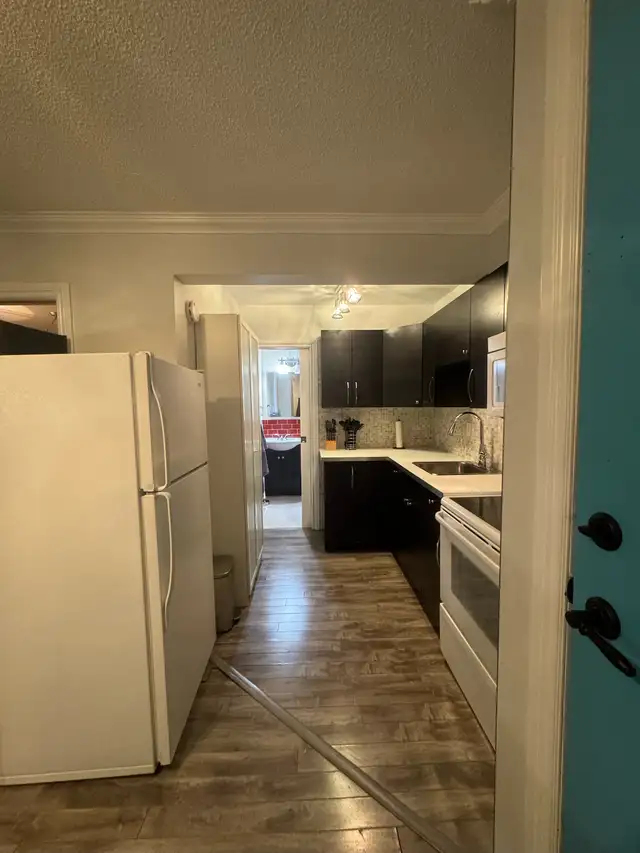 CLASSY, CHIC, FULLY-FURNISHED, ONE-BEDROOM FLAT IN CENTRAL YEG - Photo 6