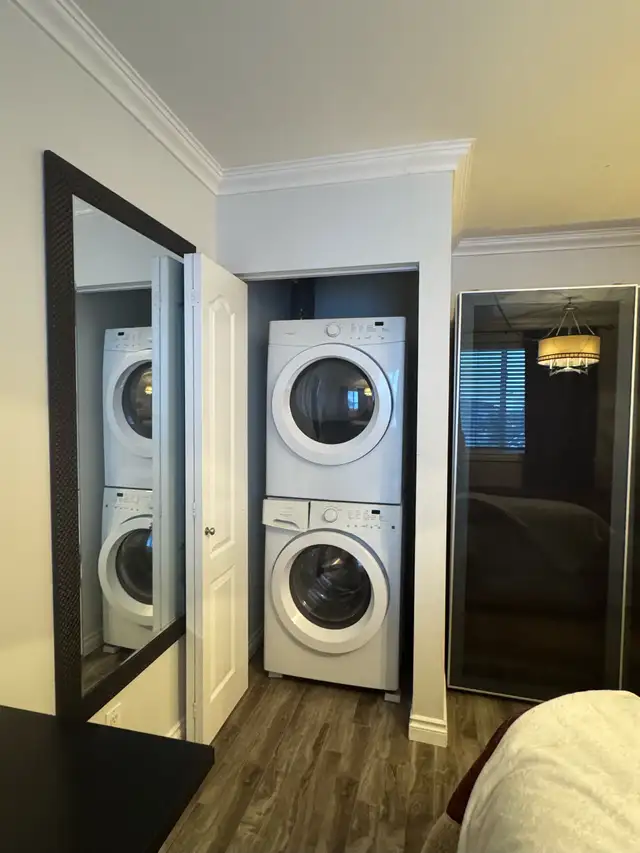 CLASSY, CHIC, FULLY-FURNISHED, ONE-BEDROOM FLAT IN CENTRAL YEG - Photo 10