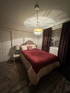 CLASSY, CHIC, FULLY-FURNISHED, ONE-BEDROOM FLAT IN CENTRAL YEG - Photo 15
