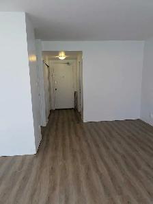 APARTMENTS AVAILABLE FOR RENT – DOWNTOWN OTTAWA - Photo 3