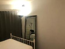 Room for Rent - King Plaza - D/T Toronto - Photo 10