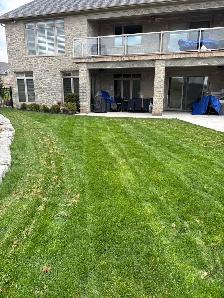 lawn service