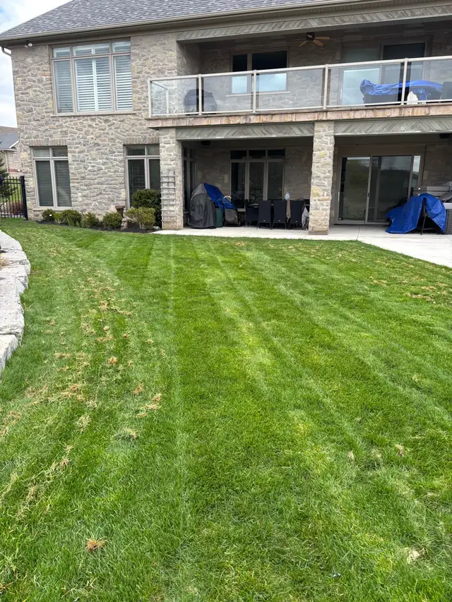 Lawn mowing