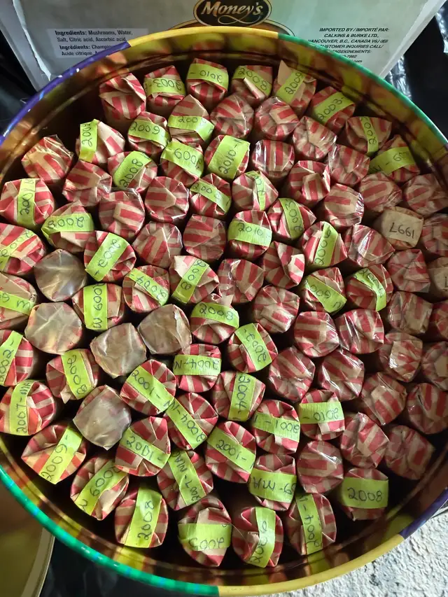 Pennies for sale - Photo 3