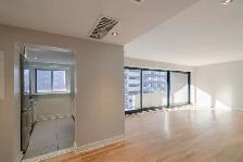two bedroom apartment near McGill University - ID 1948 - Photo 2