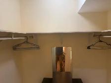 Master Bedroom with Ensuite Bathroom - D/T Toronto - Photo 5
