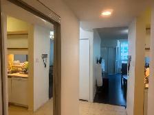 Master Bedroom with Ensuite Bathroom - D/T Toronto - Photo 6