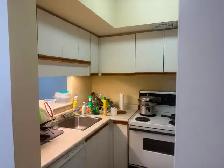 Master Bedroom with Ensuite Bathroom - D/T Toronto - Photo 10