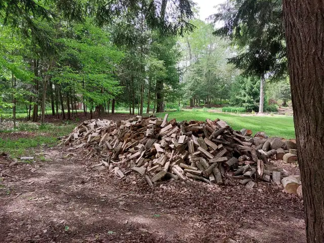 Firewood for sale