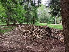 Firewood for sale