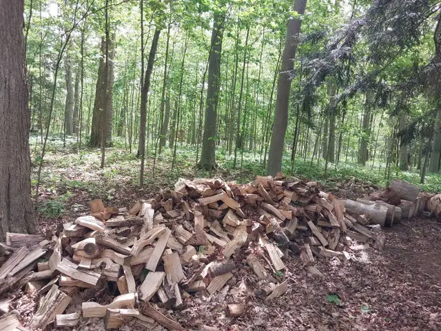 Firewood for sale - Photo 2