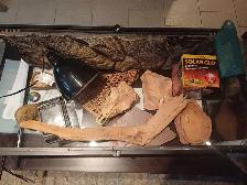 Vivarium pour lezard tout équiper - Photo 2