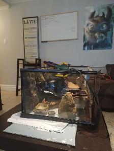 Vivarium pour lezard tout équiper - Photo 3