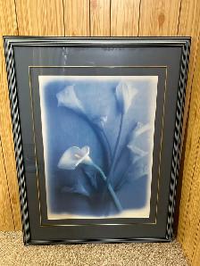 Picture of Calla Lilies