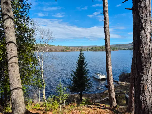 Waterfront house for sale - 170 Talon Lake Rd, Calvin, On - Photo 8