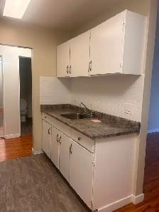 Spacious 1 Bed near Marple Loop Available - Photo 5